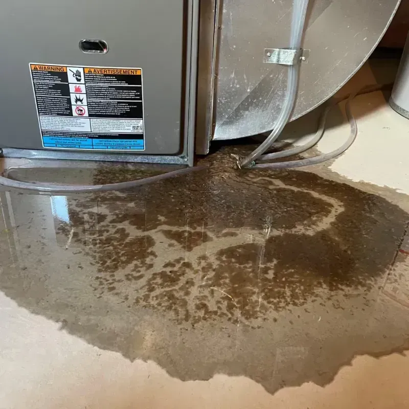 Appliance Leak Cleanup in Montgomery, MN